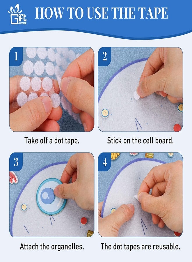GiftAmaz Animal and Plant Cell Anatomy Model, Soft Felt Toy, Early Cell Biology and Life Science STEM Toys, Classroom Teaching Aid, Educational Learning Activities STEM Birthday Toys for Kids 6+ - Image 4